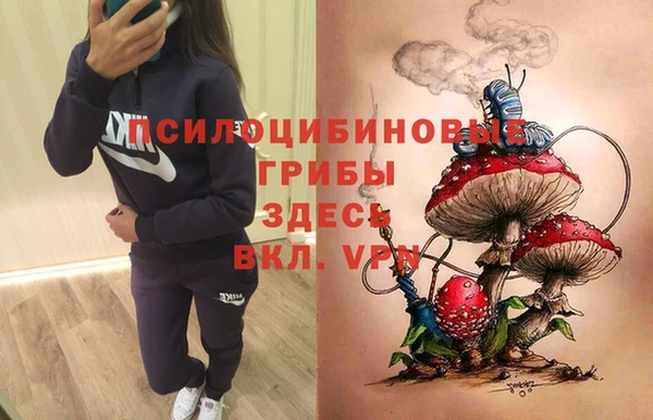 амф Алзамай
