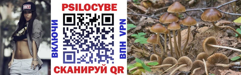 цены   Орлов  Псилоцибиновые грибы мухоморы 